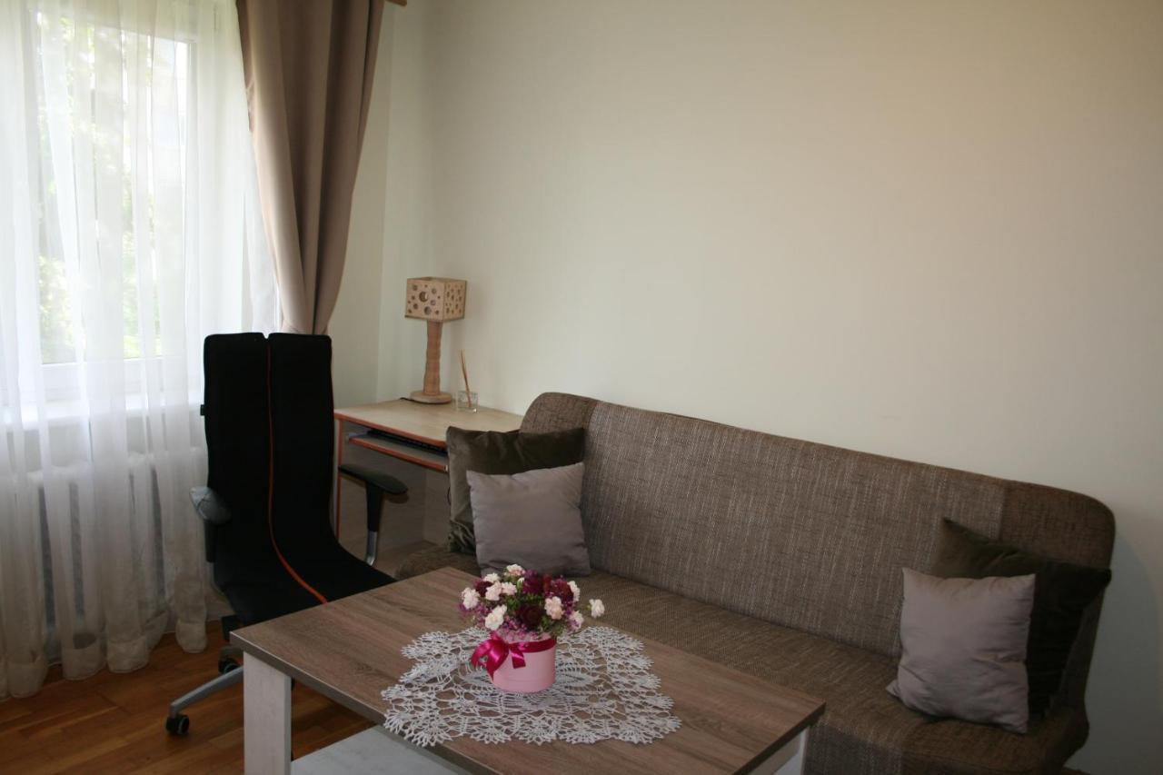 Cosy One Room Apartment Vilna Exterior foto